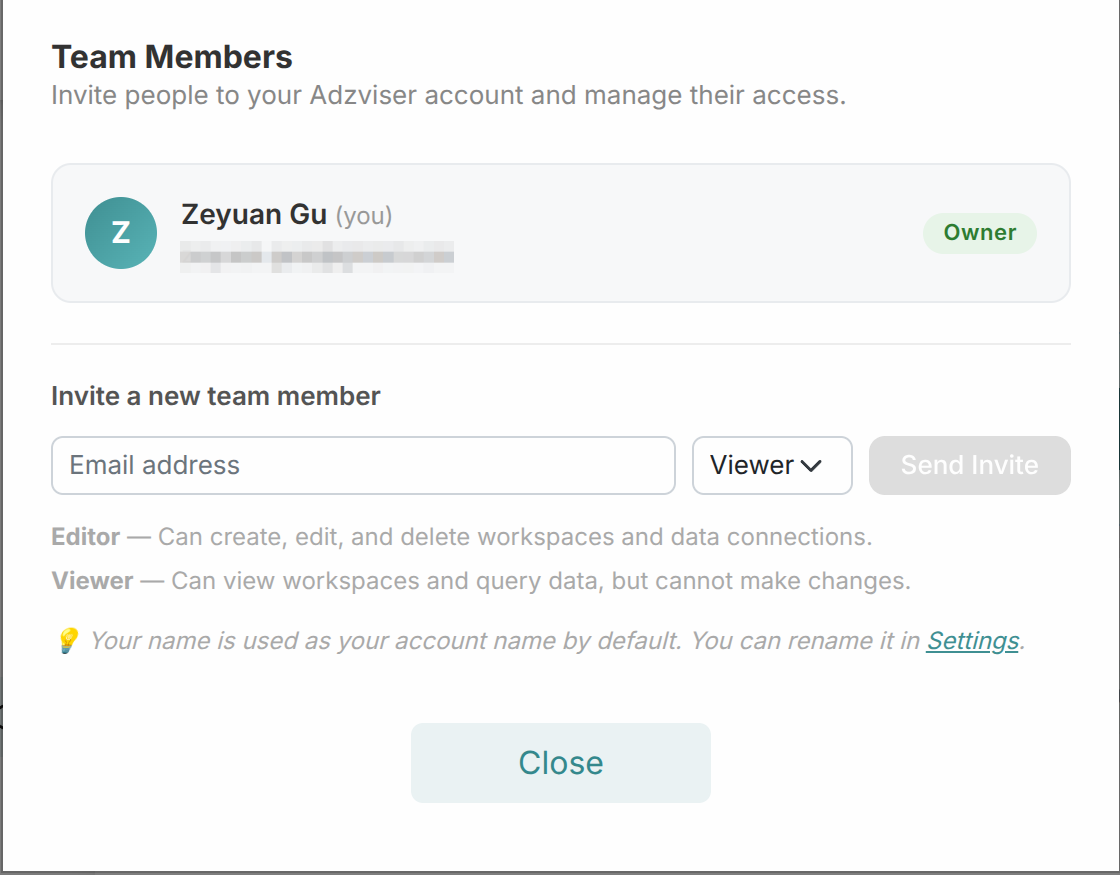 Team Members panel showing the invitation form and Viewer and Editor access descriptions